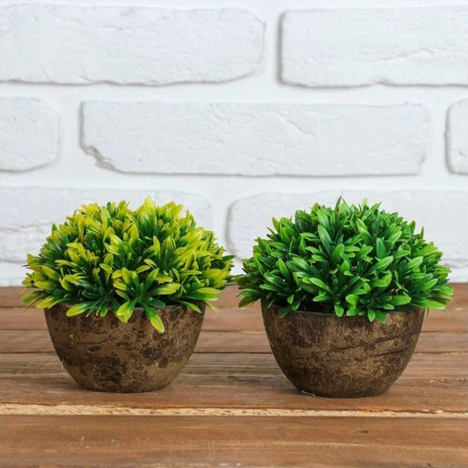 Бонсай в горшке "Цветные листья" 10*10*11 см, микс 1840779