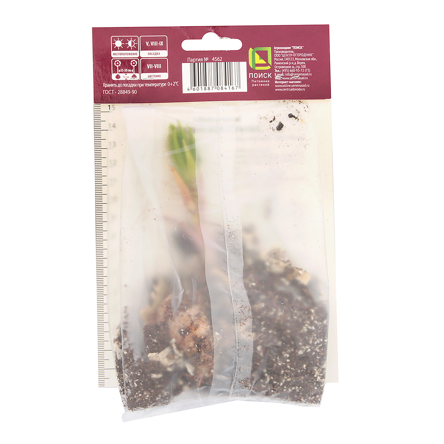 Лилия Восточная Лотус Уандер 14-16/1шт