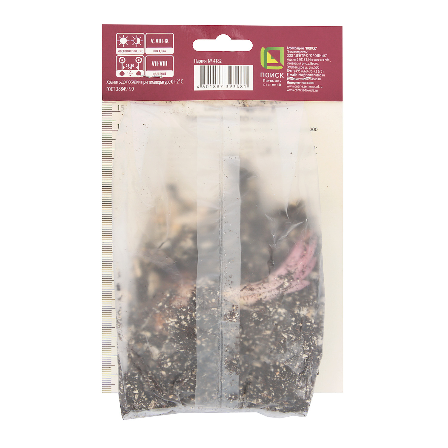 Лилия Восточная Лотус Бьюти 14-16/1шт