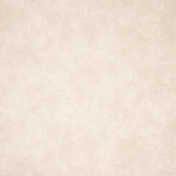 Обои флиз. "Эрисманн" Profi Deco Maison фон (беж.) 60846-04 10.05х1.06м *6