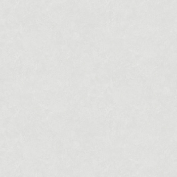 Обои флиз VS Victoria Stenova Rondo фон (св.-сер.) 585071 1.06*10м *6