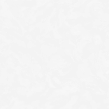 Обои  флиз "Антураж"  Veresk фон (бел.) AN9096-11  10*1,06м *6